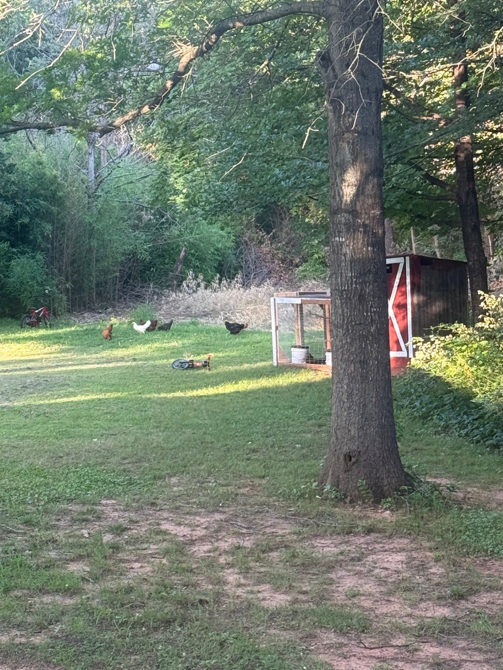 Settling In, Sorta… Kinda… Not&nbsp;Really