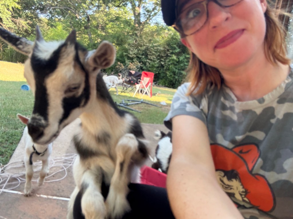 Life Lately on the Homestead: Goats, Chickens, and a Sleep-Deprived&nbsp;Mom