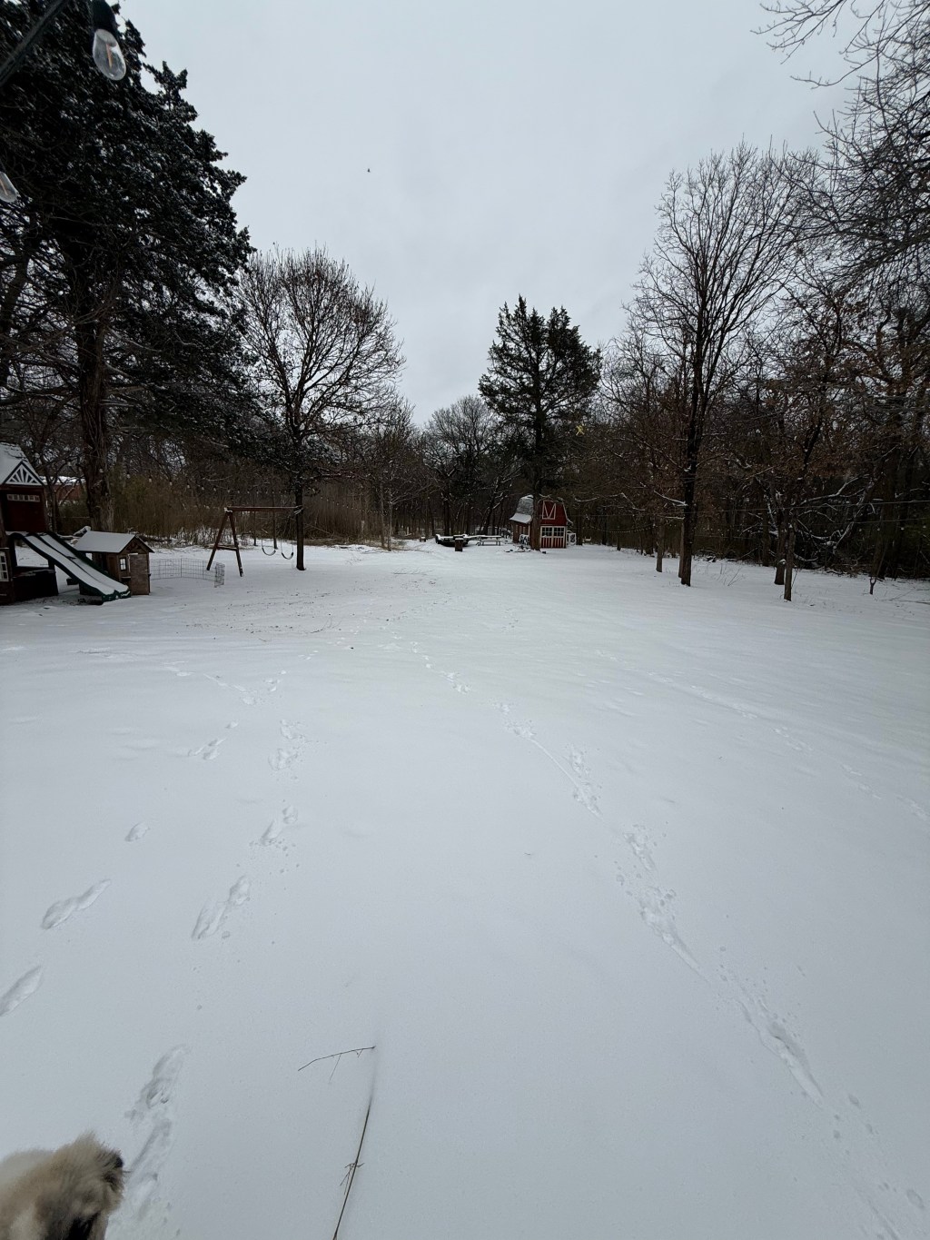 I Hate This Part of&nbsp;Farming