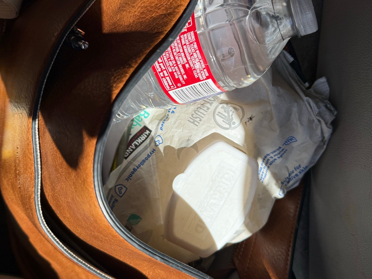 👜✨ Things in My Purse as a Twin Mom (and no… it’s not aesthetic&nbsp;😂)